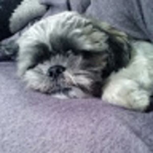 Meet your Posher, Banaf